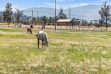 35429 Mccartie Lane - Photo 32