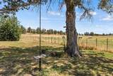 35429 Mccartie Lane - Photo 36