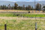 35429 Mccartie Lane - Photo 41