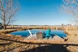 24605 Dodds Road - Photo 53