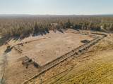 24605 Dodds Road - Photo 60