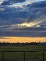24605 Dodds Road - Photo 64