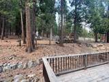 17209 Ponderosa Lane - Photo 12