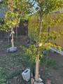 820 Wilson Avenue - Photo 20