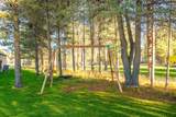 53845 Pine Grove Road - Photo 38