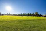 53845 Pine Grove Road - Photo 40