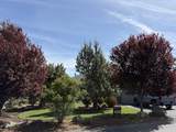 10064 Juniper Glen Circle - Photo 74