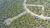  Stirrup Drive - Photo 14