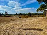  Stirrup Drive - Photo 20