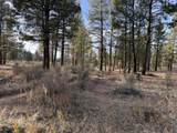 21942 Thunderbird Lane - Photo 17