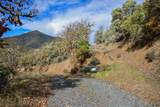 1379 Humbug Creek Road - Photo 12