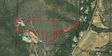 1379 Humbug Creek Road - Photo 2
