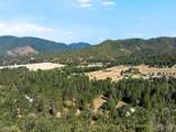 1050 Wards Creek Road - Photo 7