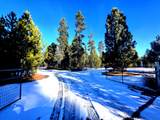 1287 Fort Jack Pine Drive - Photo 10