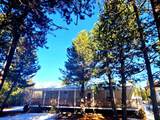 1287 Fort Jack Pine Drive - Photo 33