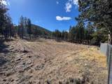 49636 Packsaddle Circle - Photo 19