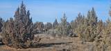  Bend Way - Photo 5