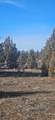  Bend Way - Photo 9