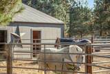 15624 National Forest Lane - Photo 27