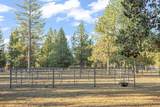 15624 National Forest Lane - Photo 36