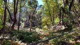 2905 Birdseye Creek Road - Photo 11