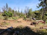 2905 Birdseye Creek Road - Photo 16