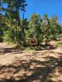 2905 Birdseye Creek Road - Photo 2