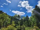2905 Birdseye Creek Road - Photo 20