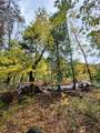 2905 Birdseye Creek Road - Photo 21