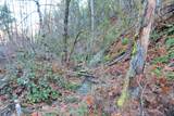 2905 Birdseye Creek Road - Photo 28