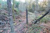 2905 Birdseye Creek Road - Photo 29