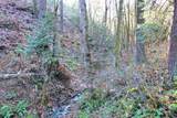 2905 Birdseye Creek Road - Photo 38