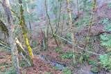 2905 Birdseye Creek Road - Photo 39