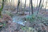 2905 Birdseye Creek Road - Photo 40