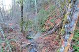 2905 Birdseye Creek Road - Photo 42