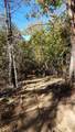2905 Birdseye Creek Road - Photo 7