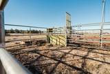 24605 Dodds Road - Photo 72