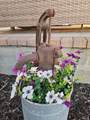 24605 Dodds Road - Photo 87