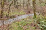 1200 Lower Wolf Creek Road - Photo 46