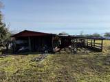 4945 Lower River Road - Photo 9