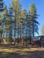 60193 Turquoise Road - Photo 2