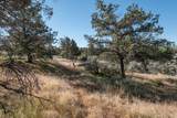  Larkspur Drive - Photo 12