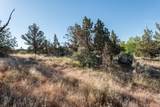  Larkspur Drive - Photo 7