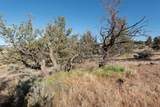  Larkspur Drive - Photo 8