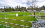 2453 Stringer Gap Road - Photo 90