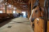 66505 Gerking Market Road - Photo 34