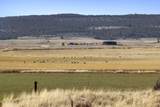 5415 Haskins Road - Photo 67