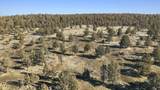 5415 Haskins Road - Photo 88