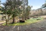 1540 Savage Creek Road - Photo 12