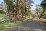 1540 Savage Creek Road - Photo 14